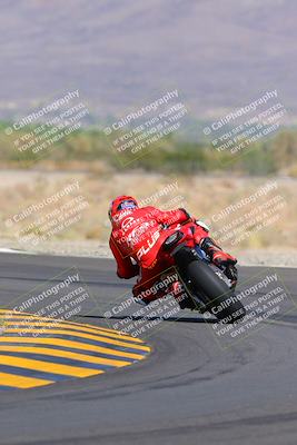 media/Oct-09-2022-SoCal Trackdays (Sun) [[95640aeeb6]]/Turn 14 Backside (1125am)/